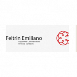 Studio Feltrin Rag. Emiliano logo