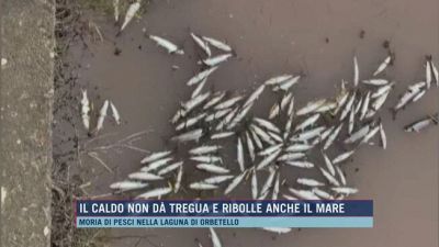 Il caldo non dà tregua e ribolle anche il mare