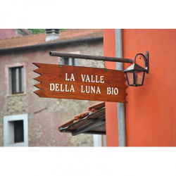 La Valle della Luna Bio logo