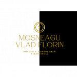 Vlad Florin Mosneagu Amministrazione Aziendale