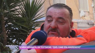Bimba sbranata dal pitbull, un testimone: "Quel cane era aggressivo"