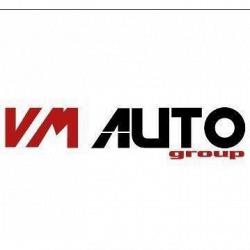 Vm Auto Group Srl logo