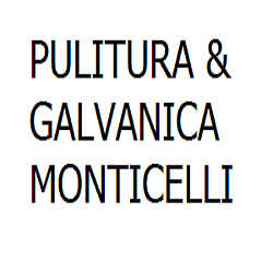 Pulitura & Galvanica Monticelli logo
