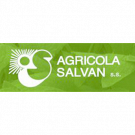 Agricola Salvan