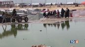 Gaza, carestia e morte Atenei contro Israele