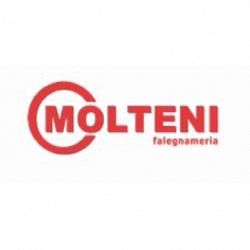 Molteni Carlo & C. logo