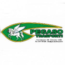 Pegaso Trasporti logo