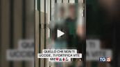 Il video dal carcere dei giovani violenti