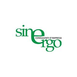 Sinergo logo
