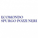 Ecomondo Spurgo Pozzi Neri