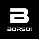 Concessionaria Borsoi