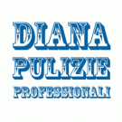 Diana Pulizie Professionali