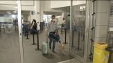 Rivoluzione nel trasporto aereo, sì a cani e gatti in cabina