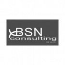 Bsn Consulting 42
