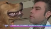 Il giorno degli innamorati: ecco chi non festeggia