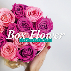 L'Eleganza Dei Fiori logo