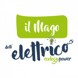 Il Mago dell'elettrico logo