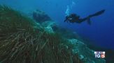 Sub morti alle Maldive riprendono le ricerche
