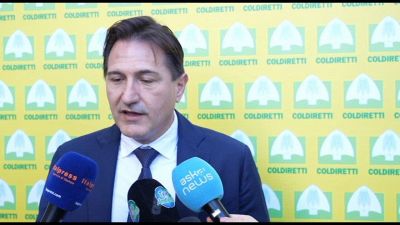 Acqua, Conti (Almaviva): gestione integrata con digitalizzazione