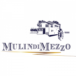 Azienda Vitivinicola Mulin di Mezzo logo
