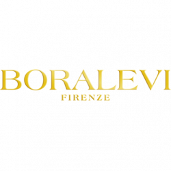 Boralevi logo