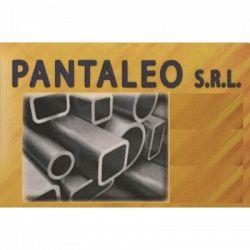 Pantaleo S.r.l. logo