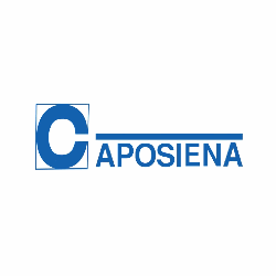 Caposiena logo