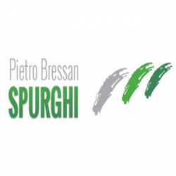 Autotrasporti e Spurghi Bressan logo