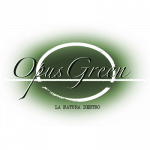 Opus Green