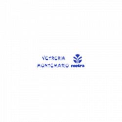 Vetreria Montemario logo