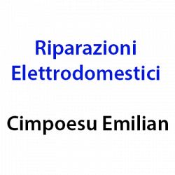 Riparazioni Elettrodomestici Cimpoesu Emilian logo