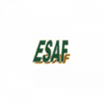 Esaf - Resistenze Elettriche