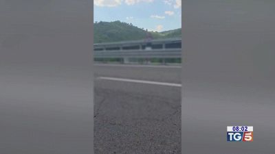 Il dramma sul viadotto dopo l'omicidio dell'ex
