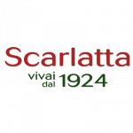 Centro Piante Scarlatta dal 1924