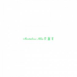 Bertolini Illio - Fabbro logo