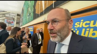 Ue, Weber (Ppe): scioccati dai dazi Usa, ma dobbiamo anche reagire