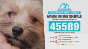 Leida, fino al 25 maggio un sms solidale al 45589