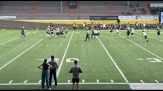 Football americano, sfida a stelle e strisce per i Frogs Legnano
