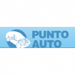 Punto Auto S.n.c logo
