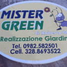 Mister Green - Roberto Mele