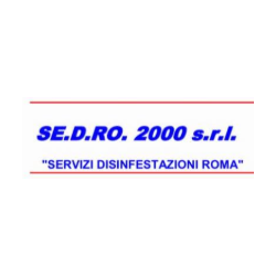 SE.D.RO. 2000 logo