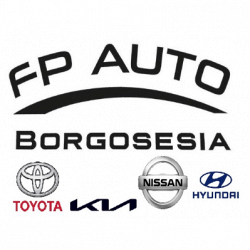 F.P. Auto - Concessionaria Automobili logo