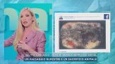 Delitto Garlasco, i post di Andrea Sempio sui social