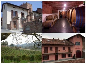 Poderi Moretti - Cascina Occhetti (visite cantina, vendita diretta vini dettaglio e ingrosso)