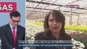 Guerra in Medioriente, l'impatto sul settore florovivaistico