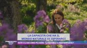 Kate e il suo anno più duro: "La natura è il mio santuario"
