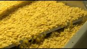 La filiera della pasta: tra ricerca, industria e tecnologia
