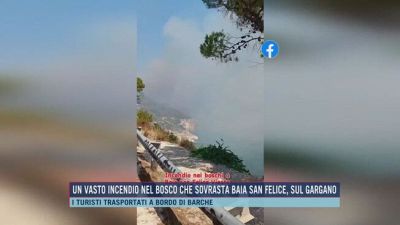 Un vasto incendio a Baia San Felice, sul Gargano