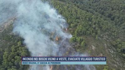 Incendio nei boschi vicino Vieste, evacuato villaggio turistico