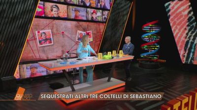 Liliana Resinovich: sequestrati altri tre coltelli si Sebastiano